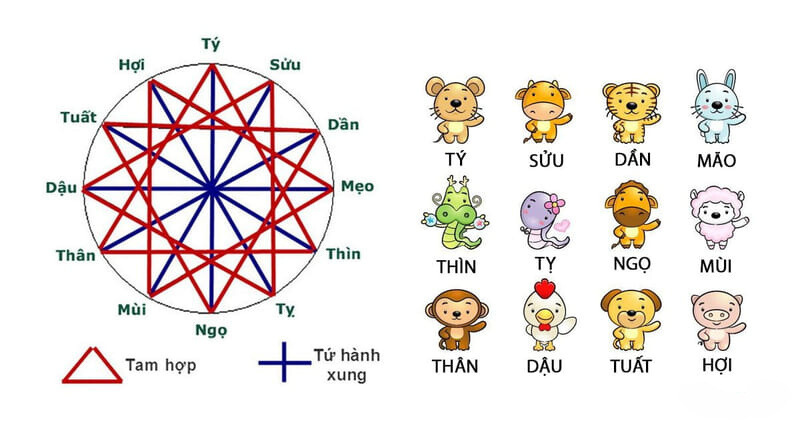Tính tuổi tam hợp tứ hành xung cho 12 con giáp Tính tuổi tam hợp tứ hành xung cho 12 con giáp
